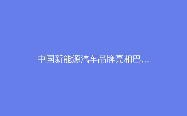 中国新能源汽车品牌亮相巴黎奥运会：体育盛会背后的绿色科技角逐 - 3